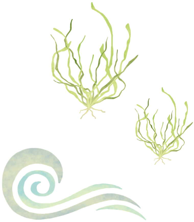 青のり海藻と波のイラスト