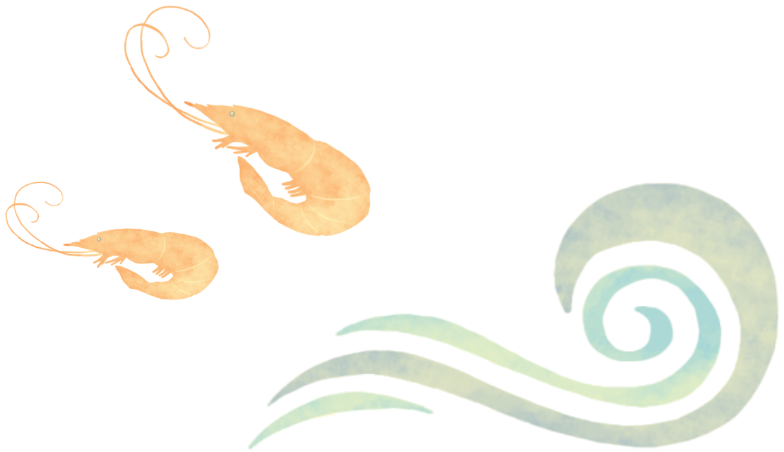 小えびと波のイラスト